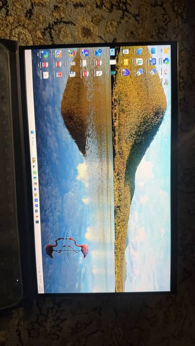 Asus extrabook