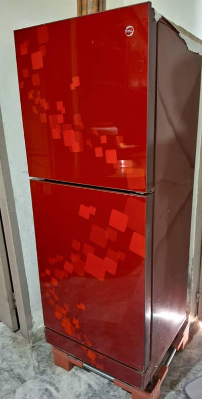 PEL Glass Door Refrigerator – Excellent Condition