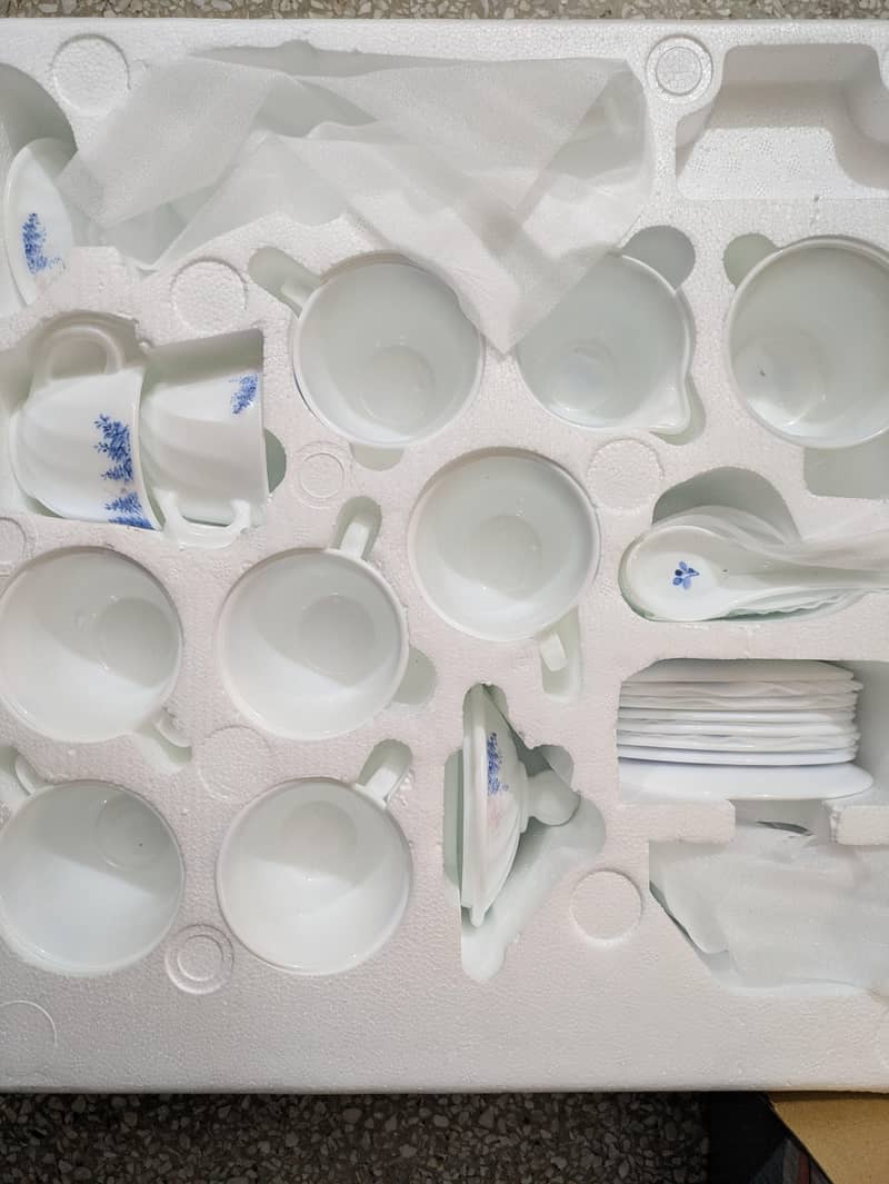 Dinner set 5