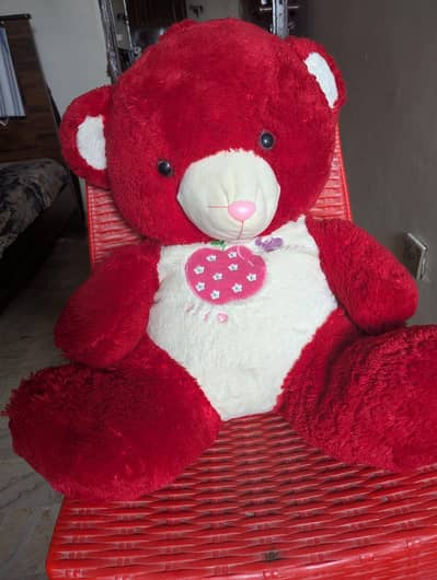 Red Teddy