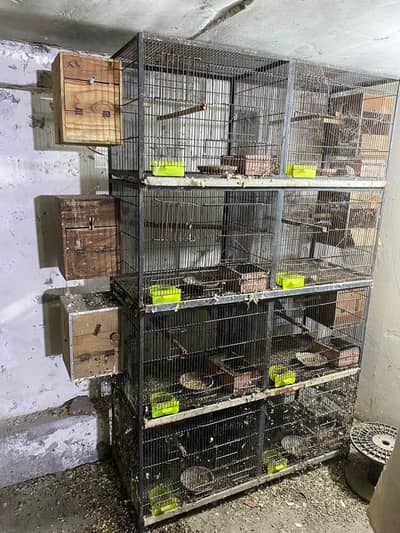 cage for sale