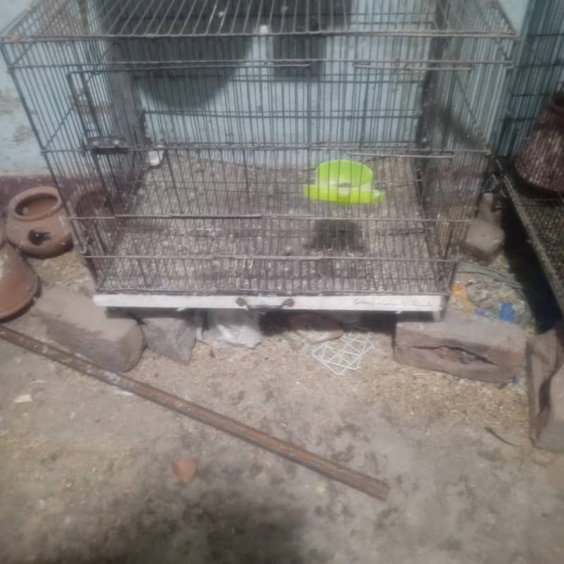 master Cage 0
