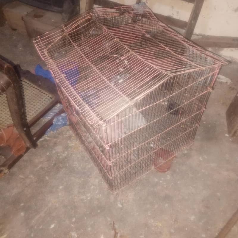 master Cage 2