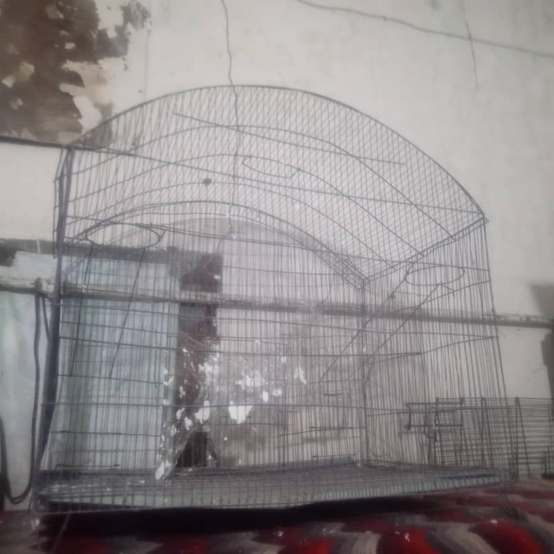 master Cage 3