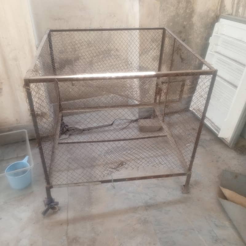 master Cage 4