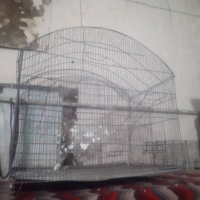master Cage 5