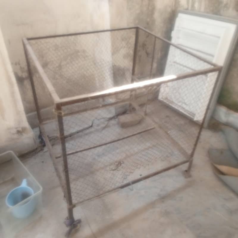 master Cage 6