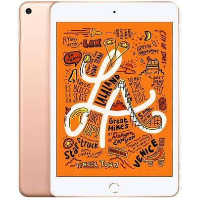 ipad mini 5 dead