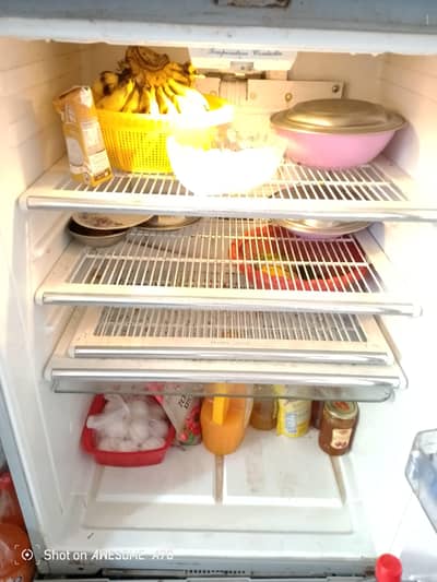 03214534296  Fridge