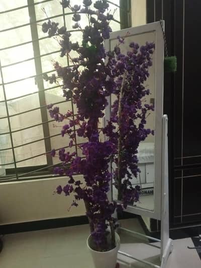 beautiful flower pot for sale