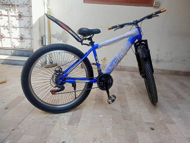 Morgan cycle 0