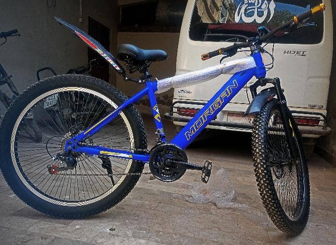 Morgan cycle 1