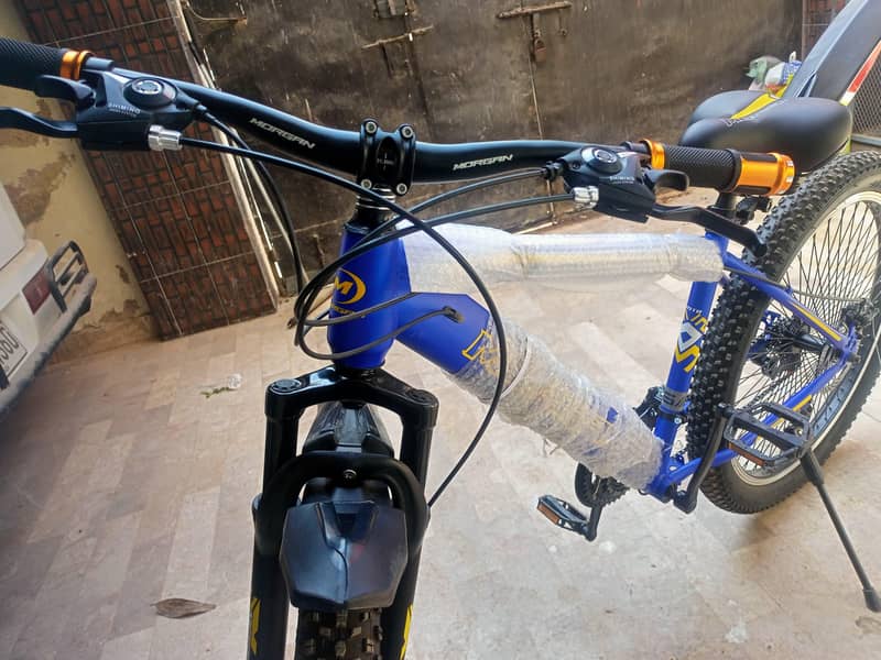 Morgan cycle 2