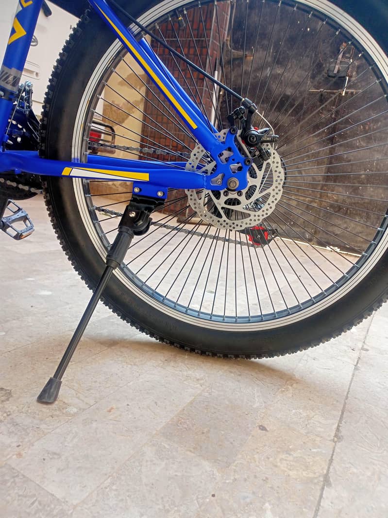 Morgan cycle 3