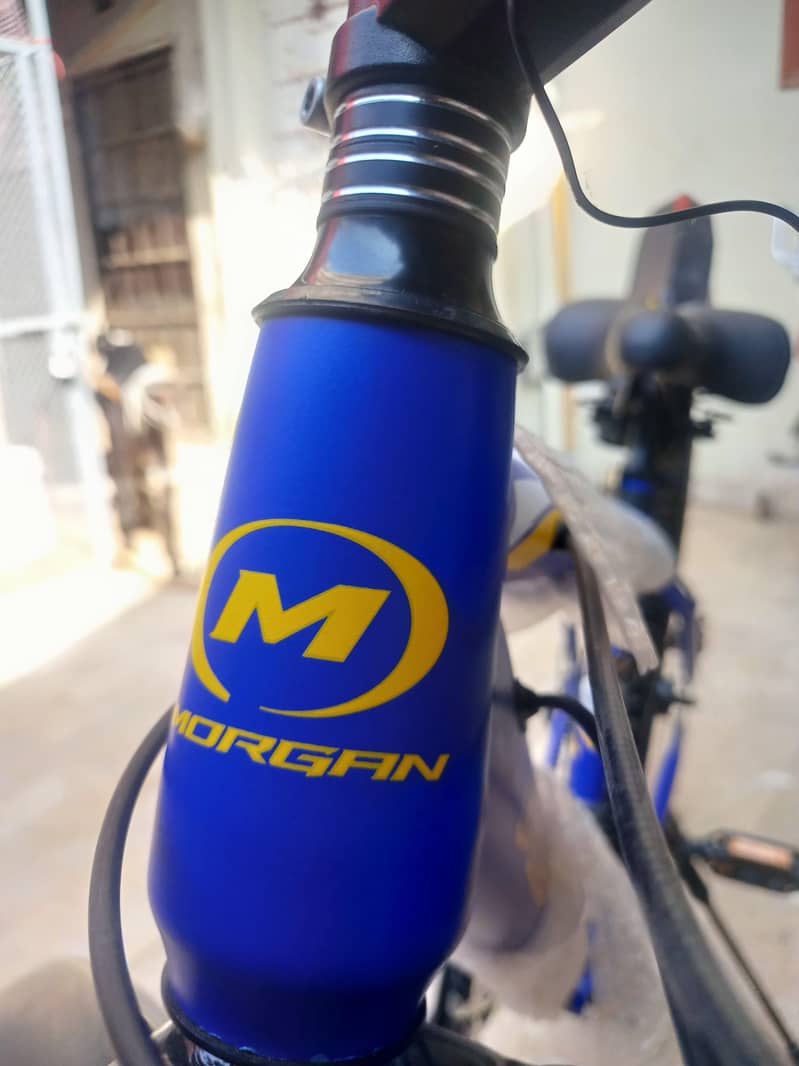 Morgan cycle 7