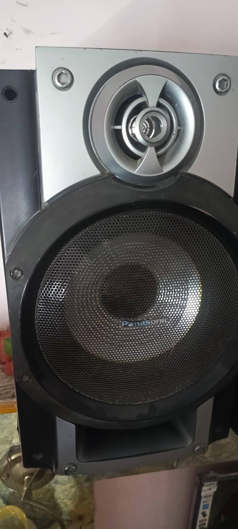 Speaker 5