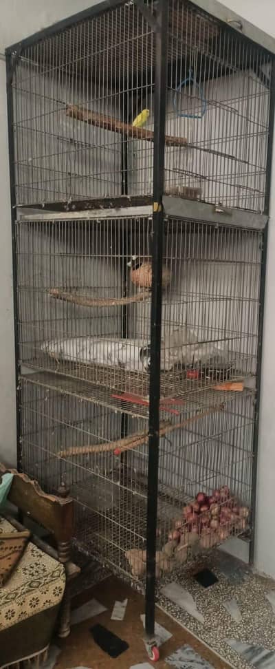 cage for raw parrot