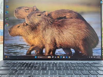 Dell Precision 5550 | i7 10 gen | 16gb Ram | T2000 4gb GPU