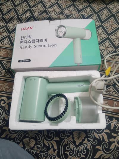 Handy steam iron