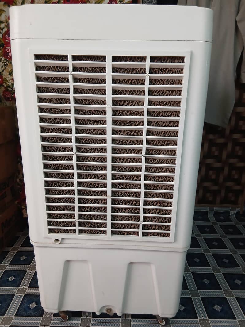 Rays Air cooler 3