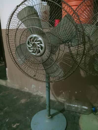 Stand Waly  pankha For sale ha