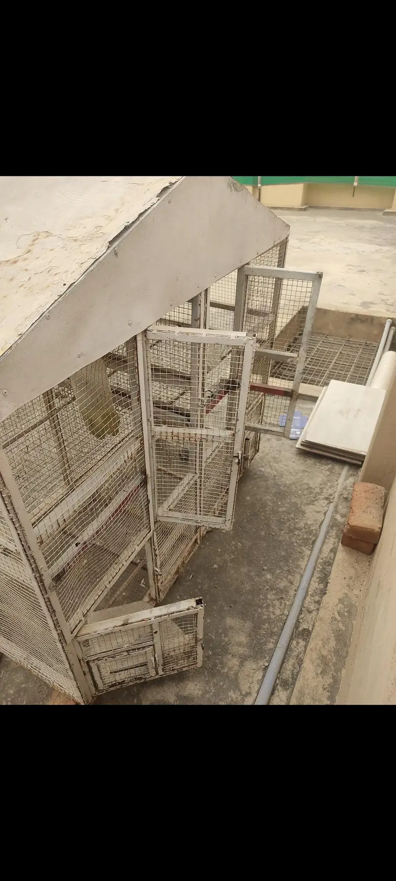 Heavy Duty Iron Cage for Sale – Strong & Durable