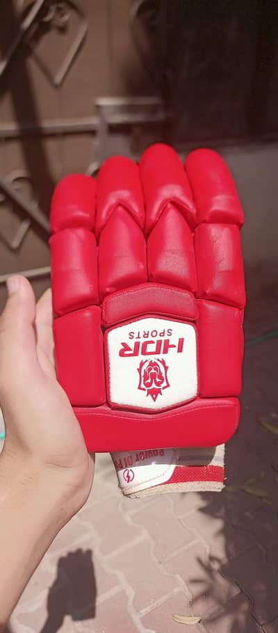 Hard ball cricket kit