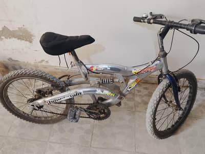 Imported Silver Cycle