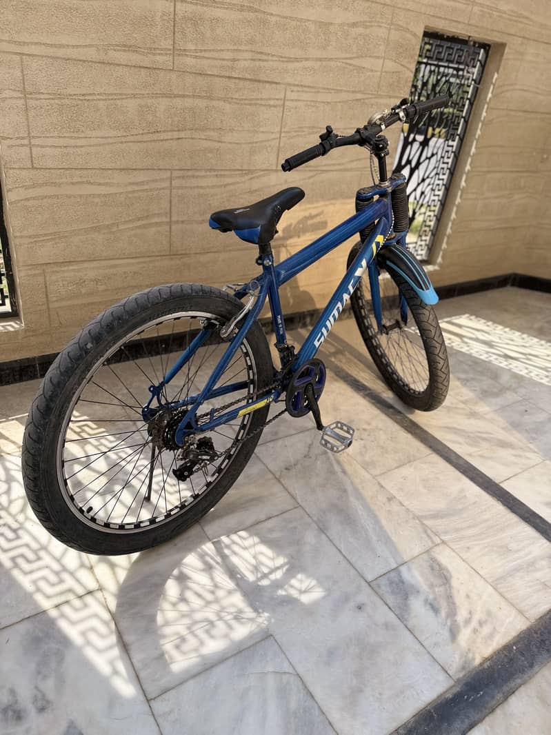 Bicycle 2