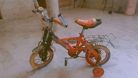 BYCYCLE LION KING
