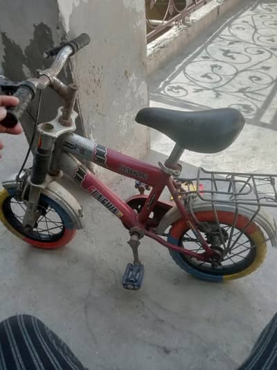 Baby Bicycle