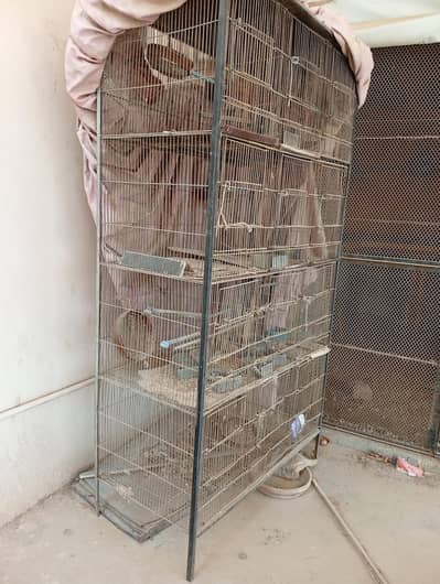 12 portion, 4step cage high quality