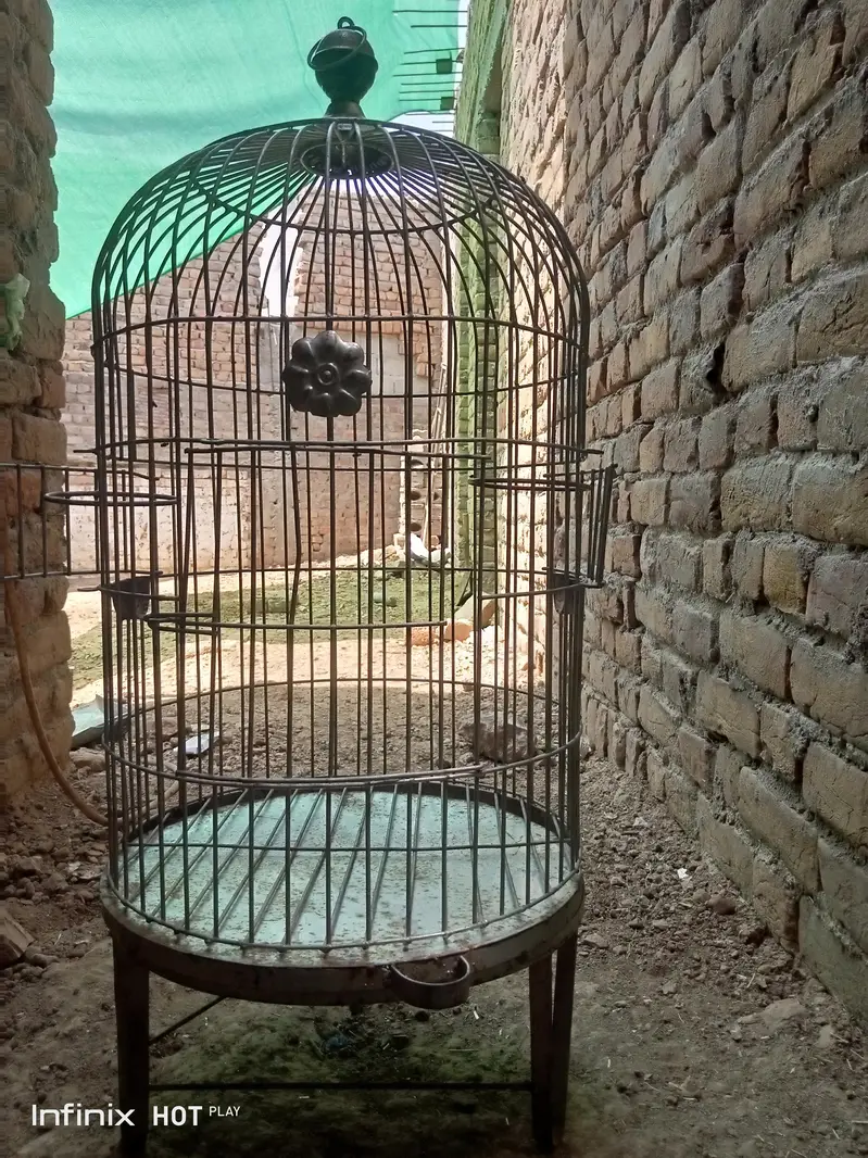 New Mazboot Cages — photo 3