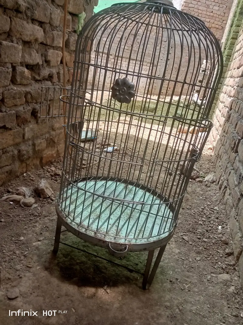 New Mazboot Cages — photo 4