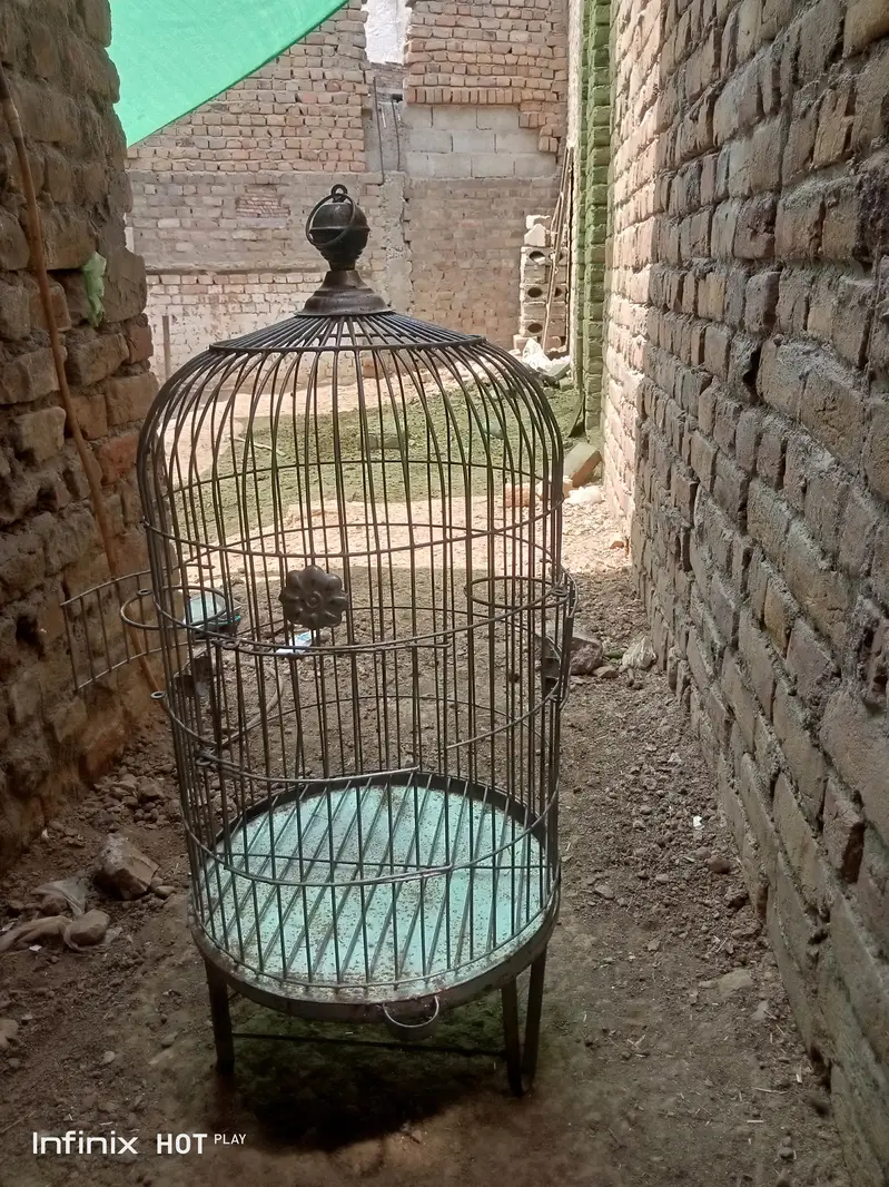 New Mazboot Cages — photo 5