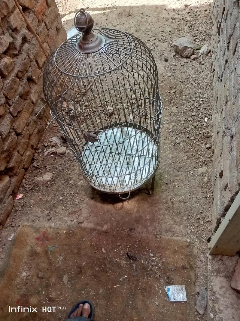 New Mazboot Cages — photo 6