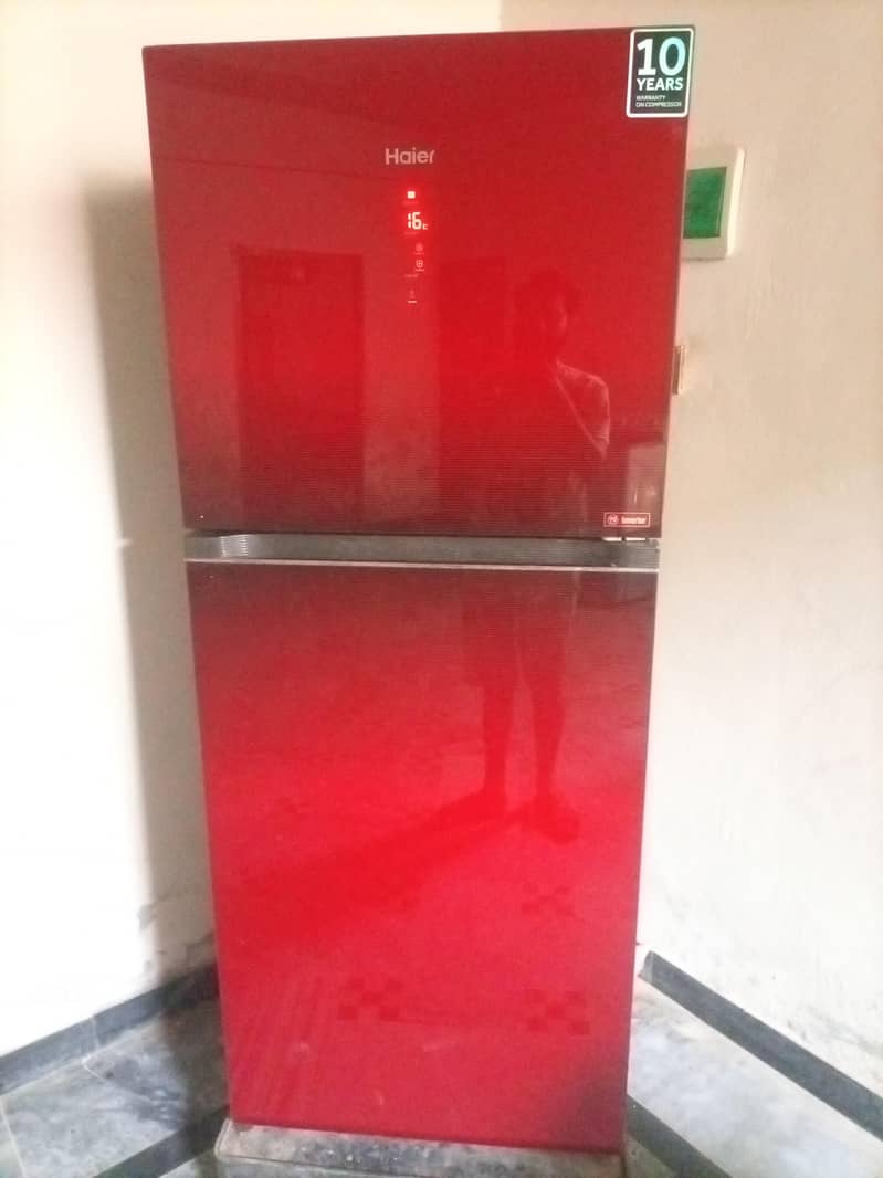 frige 0