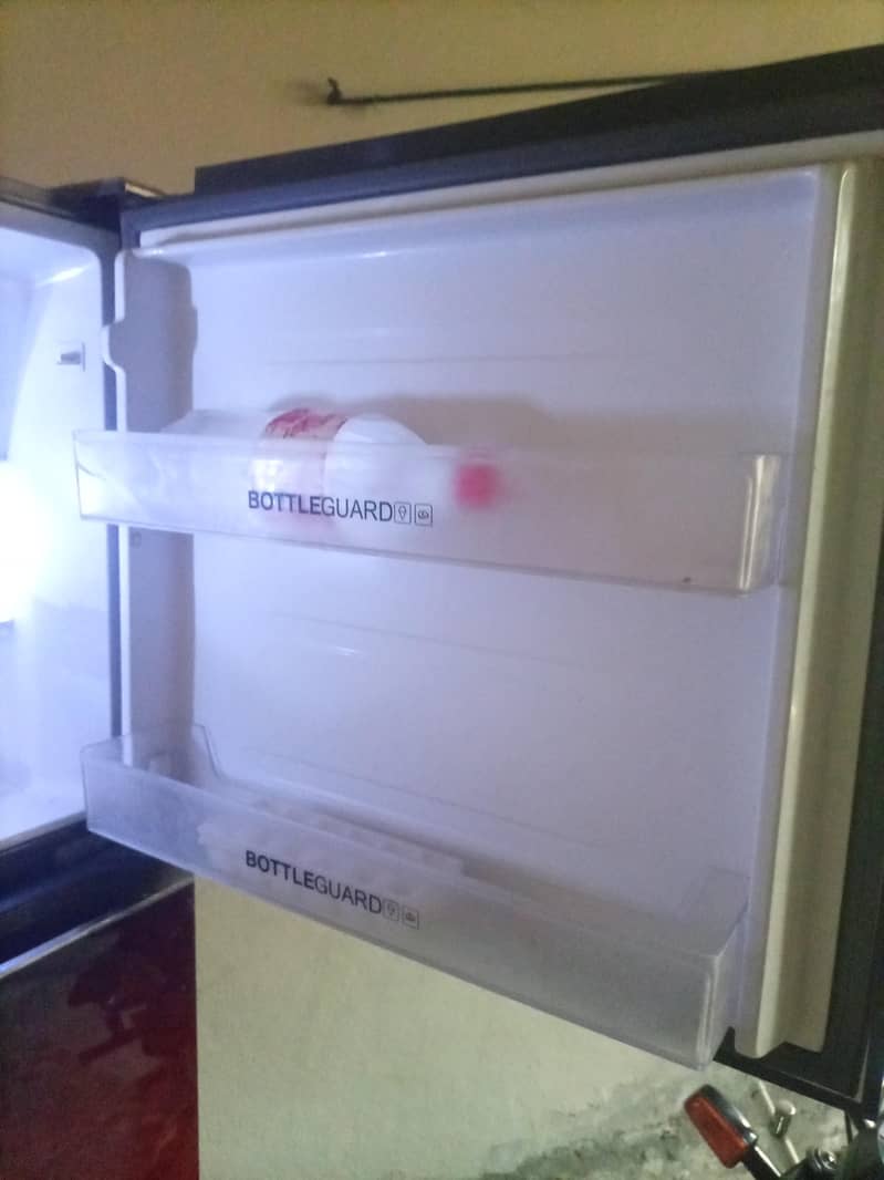frige 4