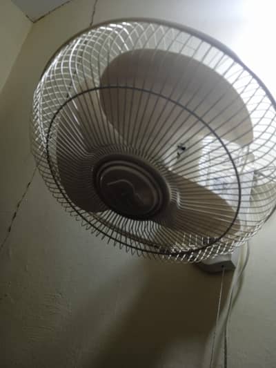 Royal kitchen fan
