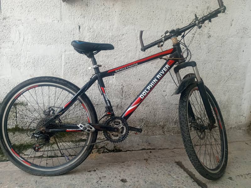 Bicycle  1