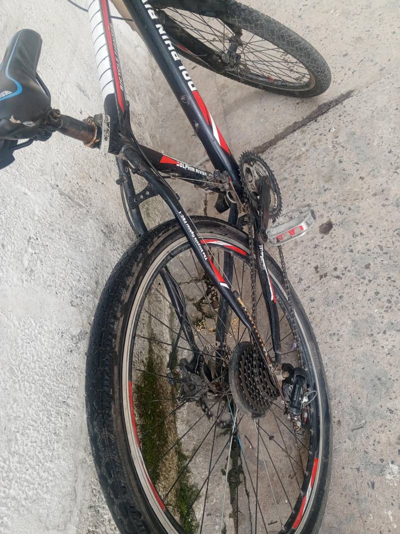Bicycle  2