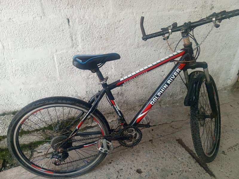 Bicycle  3