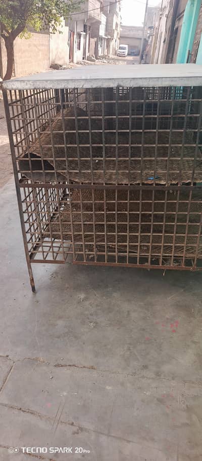 cage for boiler chicken shop