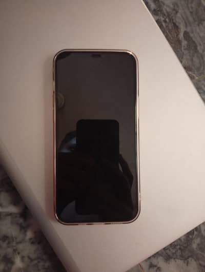 Apple iPhone 12 Pro Max