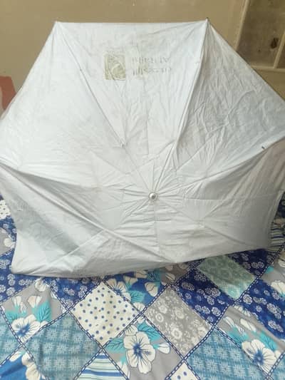 the umbrella