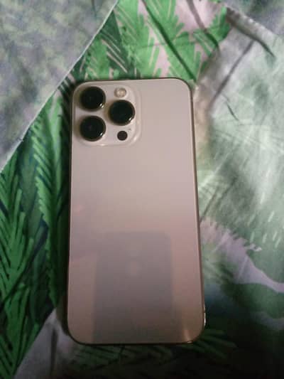 Apple iPhone 13 Pro