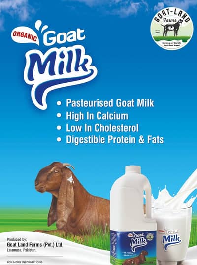 *_FRESH GOAT MILK AVAILABLE*_  *_FOR SALE_*