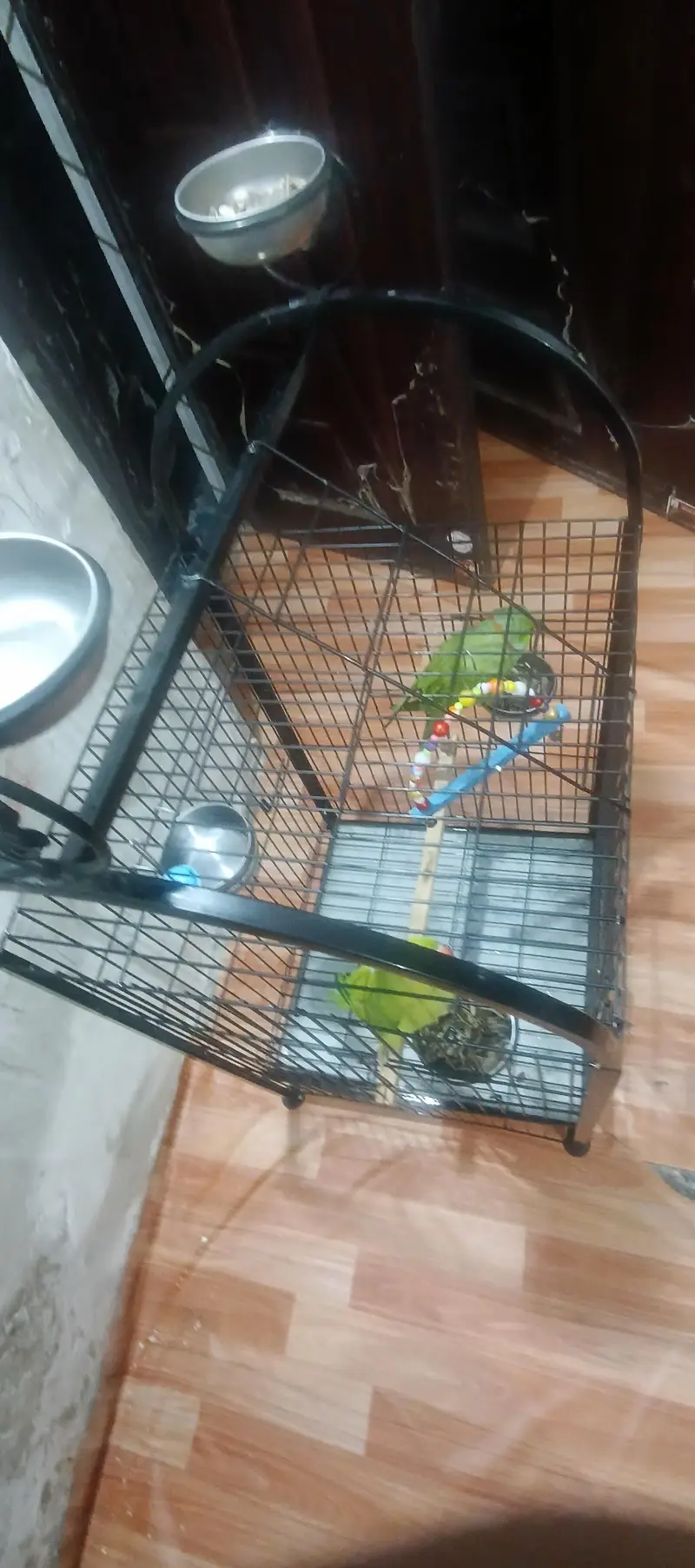 Parrot Cage — photo 4