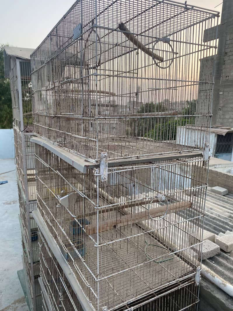 8 Portion Cage 1