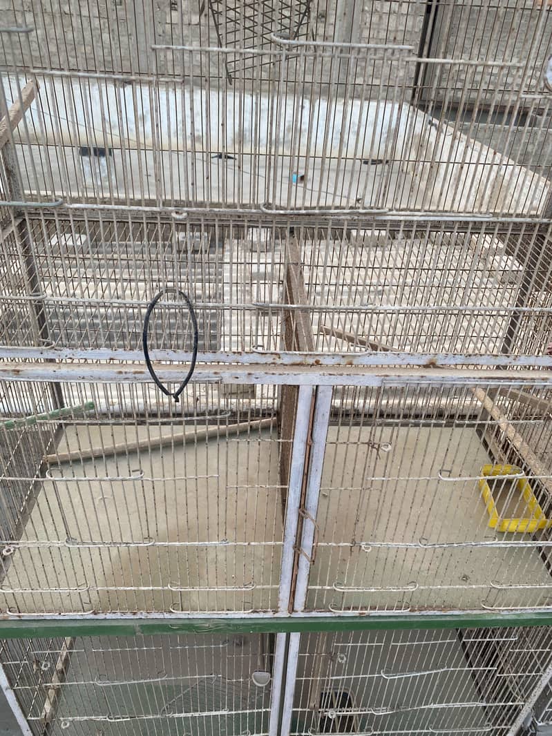 8 Portion Cage 2